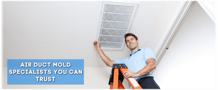 Air Duct Mold Removal in Everett