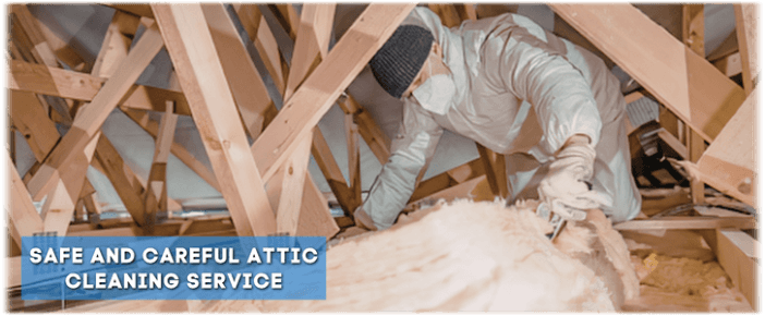 Attic Cleaning Everett