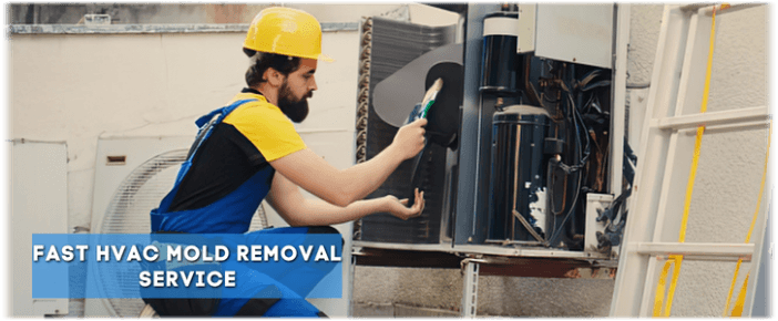 HVAC Mold Removal Everett